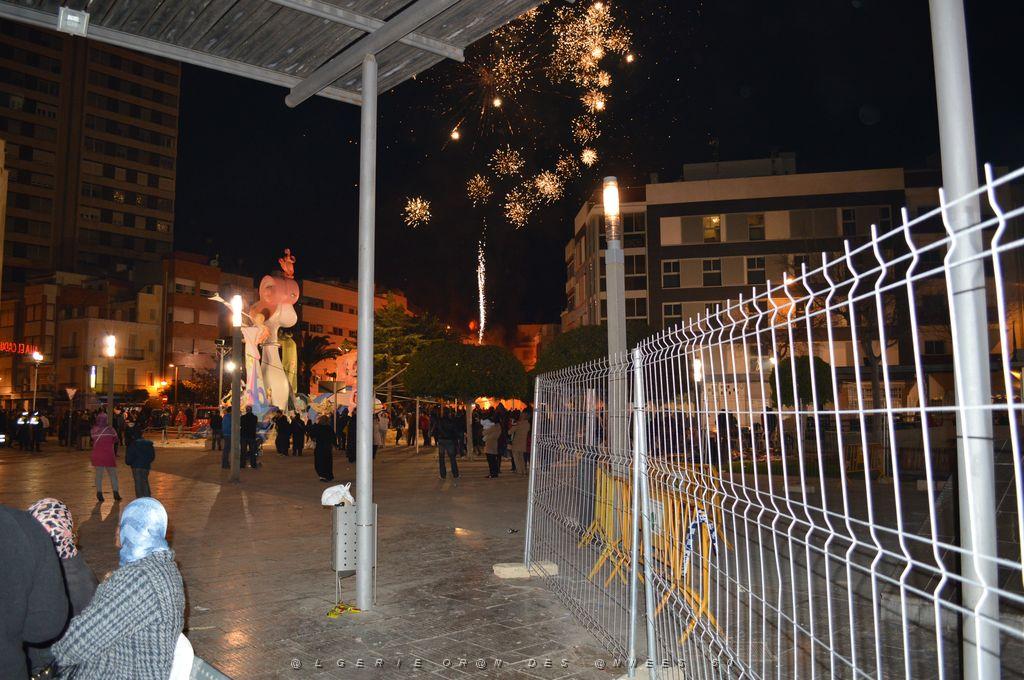 60- Feux 018.JPG